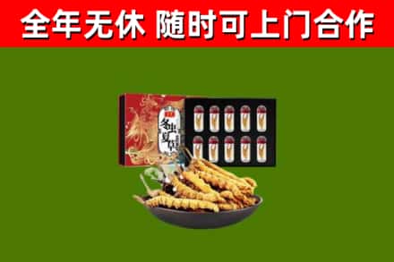 中站区回收冬虫夏草价格